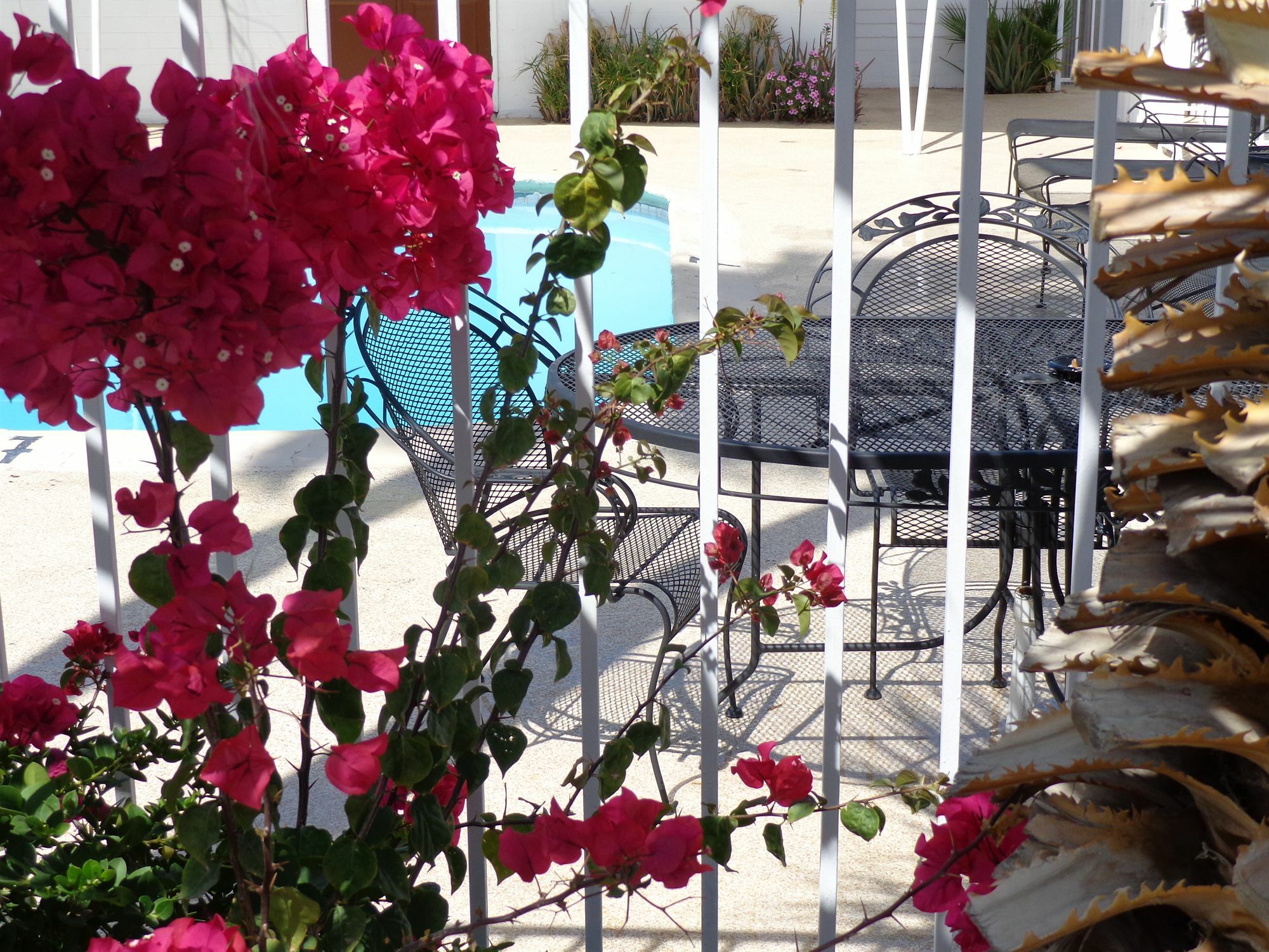 Historic Coronado Motor Hotel By Oyo Γιούμα Εξωτερικό φωτογραφία